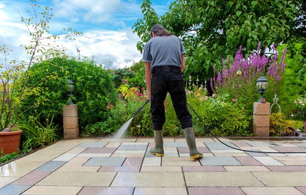 Best Driveway Pressure Washing  in Princeton, TX