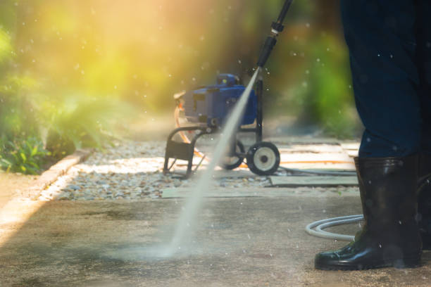 Best Sidewalk and Walkway Cleaning  in Princeton, TX